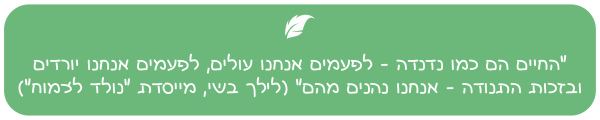 ציטוט לילך בשי ״נולד לצמוח״